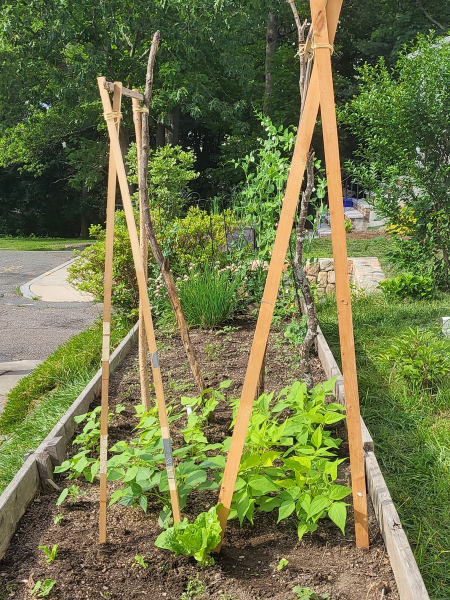 Beating lawn signs into plowshares...or garden A-frames, at least.