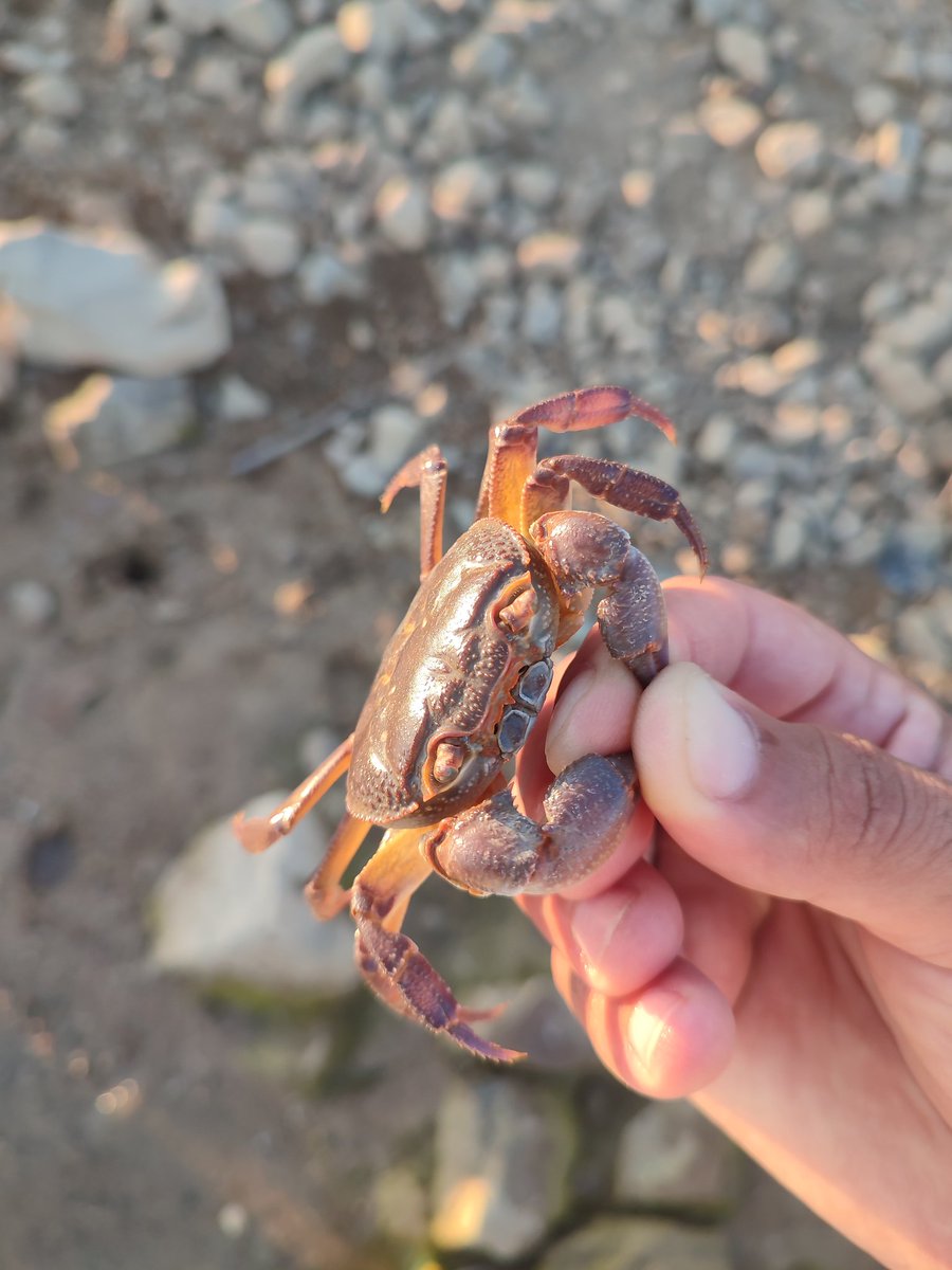 ꋊ 𝙰𝙻𝙸 ꋊ tweet media