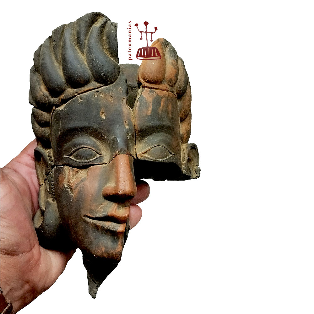 Paleorama tweet media