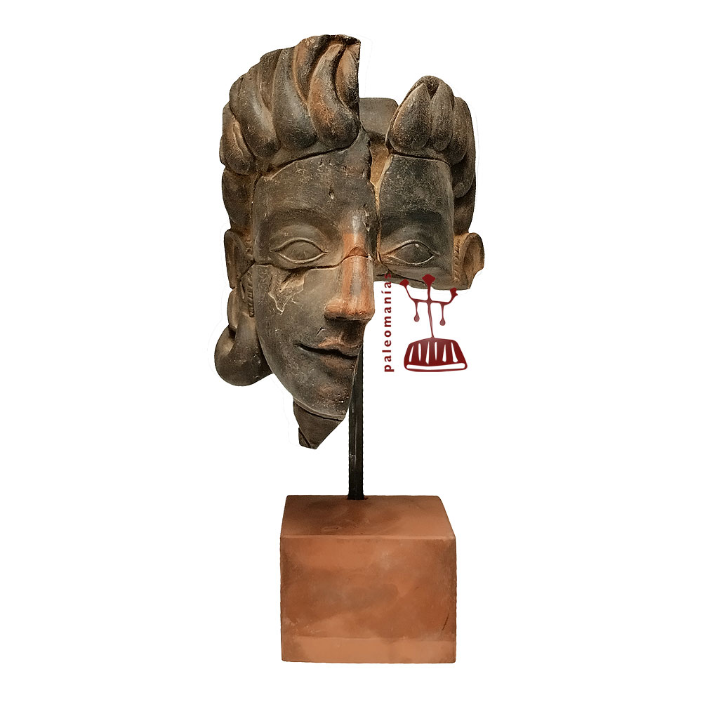 Paleorama tweet media