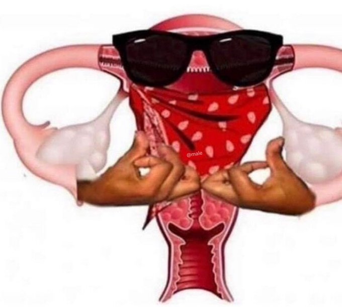 Stoic Reflections tweet media