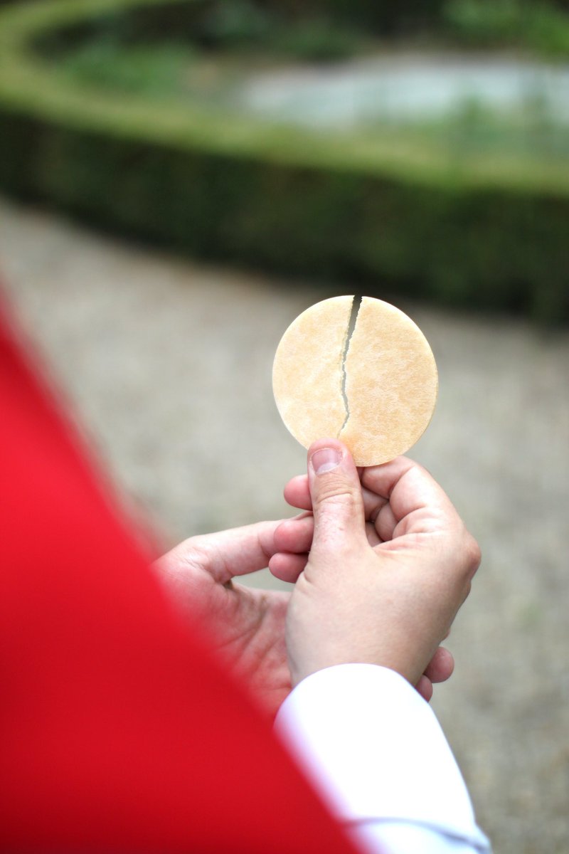 “The priest, having taken from the altar the Son of God (who is as the dew from heaven, and true son of Mary, flower of our humanity), gives him to you as delicious food.”

- St. Francis de Sales

#catholic #diocesan #priesthood #taketheriskforchrist