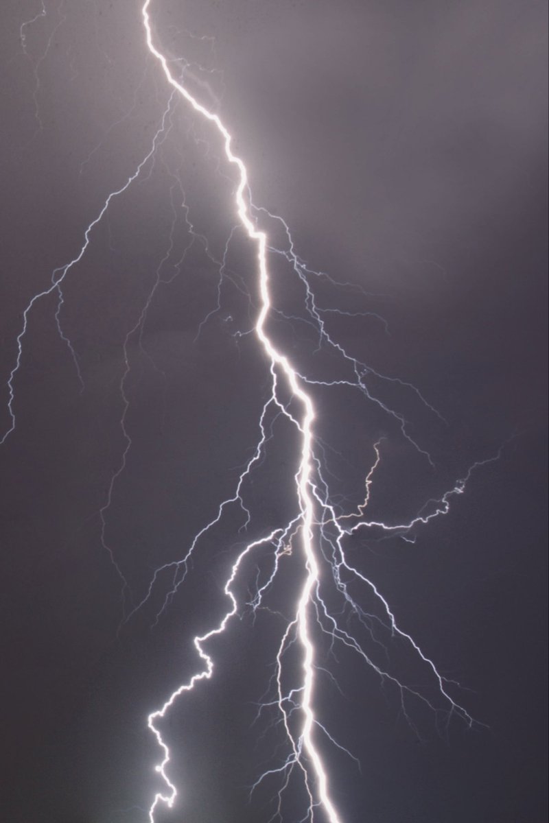 Ⓜ️ICHÆL🥤🌐 • 📷’er📍42°N | Emergence Edition x 20 tweet media