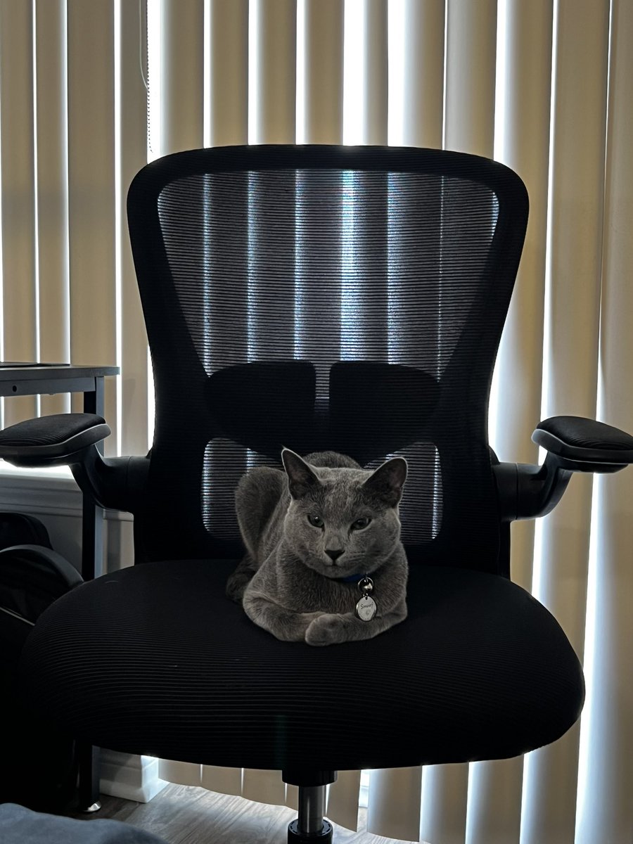 When you come back from a  long lunch break only to find your boss waiting for you at your desk. 
I swear I only went for a quick break Sir Smurf.