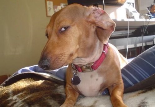 Mandy ツ’s pics and videos