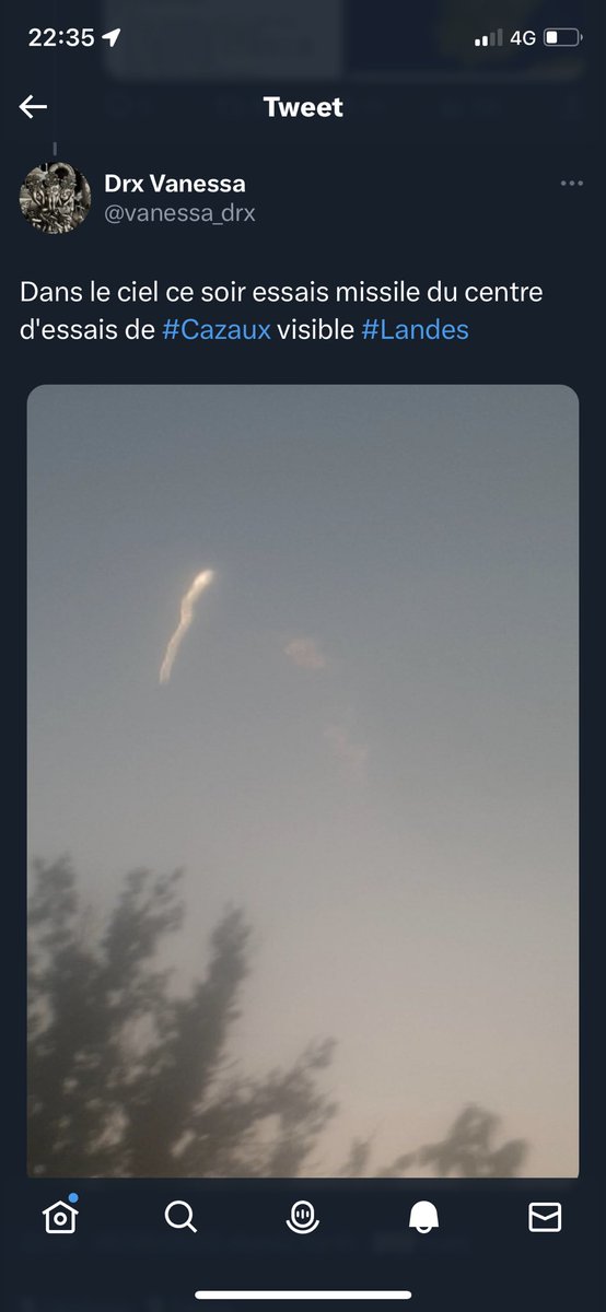 slim tweet media