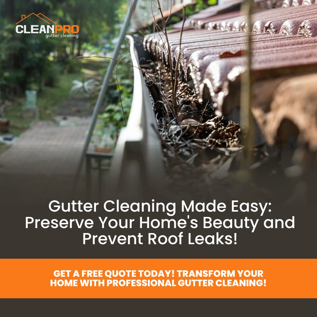 CIeanProGutters's tweet image. 🌟 Easy Gutter Cleaning with Clean Pro! 🌟

👉 Schedule now and enjoy affordable prices and flexible options. Your gutters deserve the best! 👈

#CleanPro #GutterCleaning #RainySeasonReady #ProfessionalService