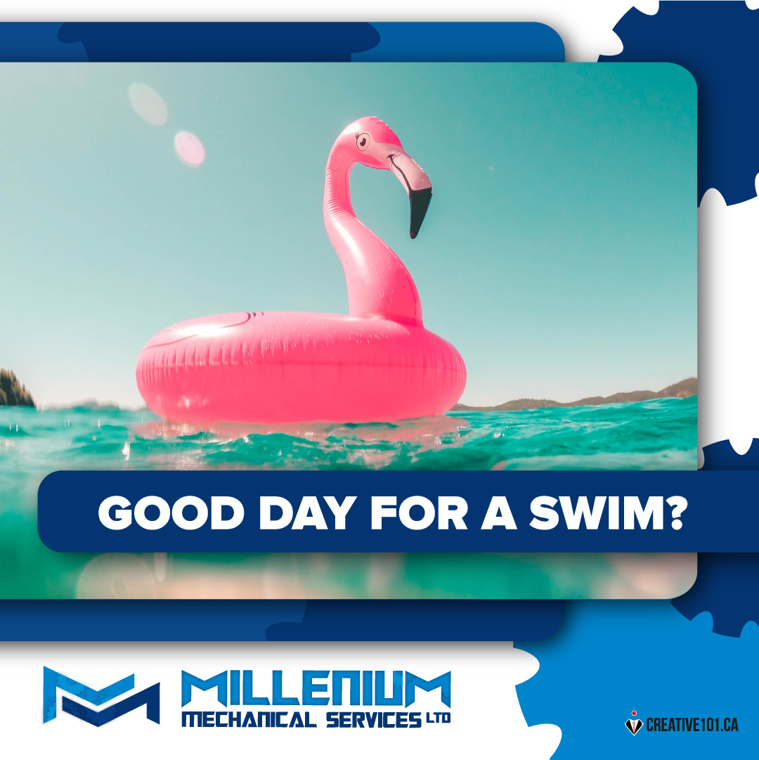 #NationalSwimmingPoolDay 
Are you going for a plunge today? 😁 

If you're looking for a pool heater, look no further than Millenium Mechanical. Give us a call today! 😉👍

#poolheater #airconditioning #commercialcooling #residentialcooling #LeducBusiness #HVACInstallationLeduc