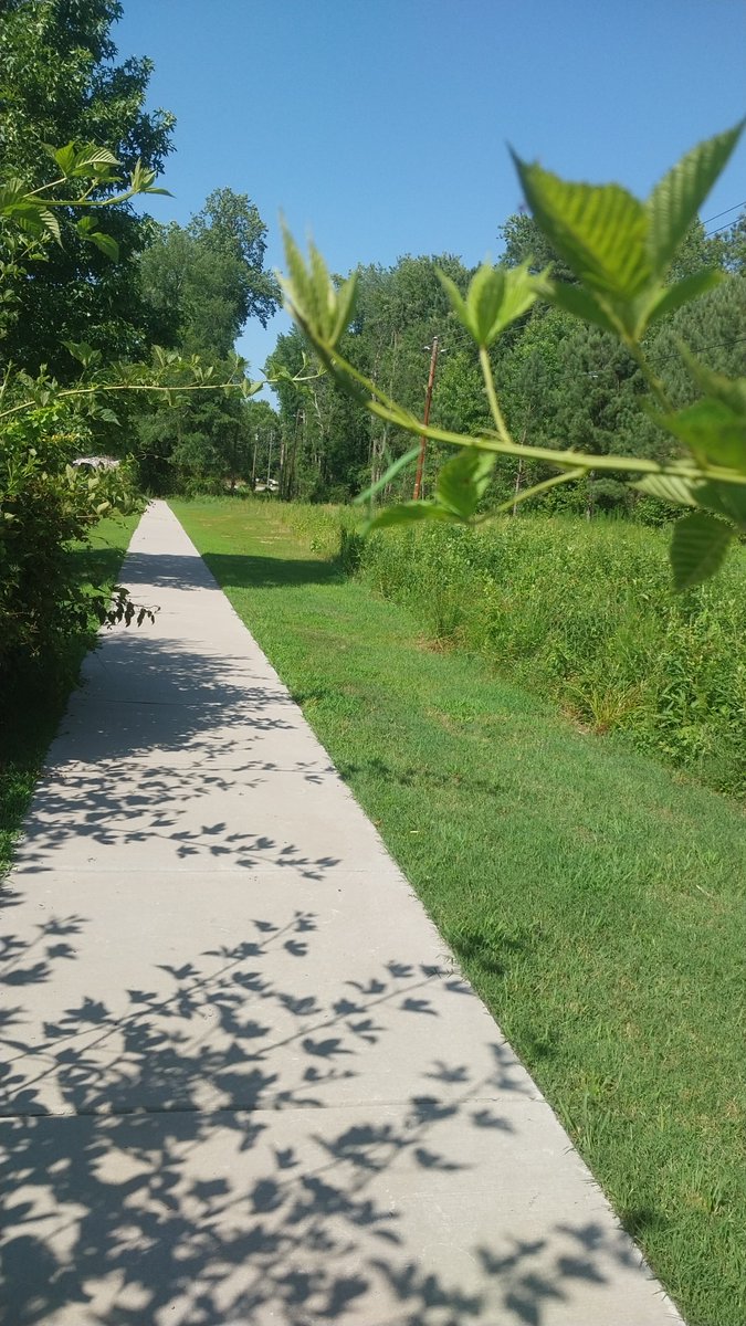 Always keep your head on a swivel

Almost had an eye to eye 

#twitchtv 

My 2nd publication is $10 on Amazon and all proceeds will be used to build the Butterfly Sanctuary for healing from trauma. Link 👇👇 please purchase and share with your network 

amazon.com/Blunt-Force-Tr…