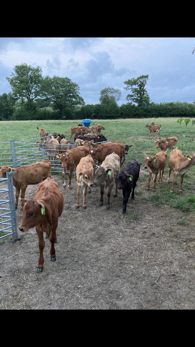 Simon Leverett 🇺🇦 tweet media