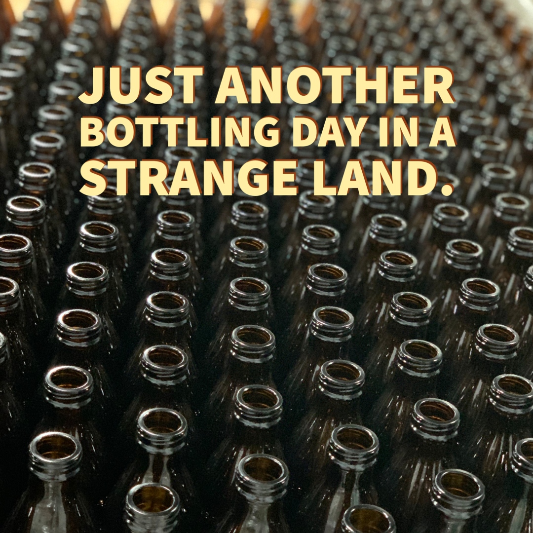 Today we bottled out filtered sake, In A Strange Land. We love the taproom, but we also love getting the freshest possible sake out in the market. Be sure to look for Farthest Star Sake in the cooler. Keep it cold and drink it cold! 

#sake #bottling #bottlingday #inastrangeland