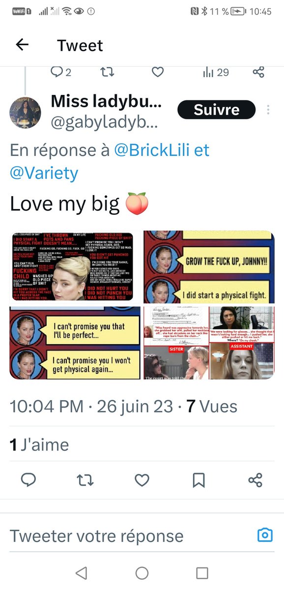 BrickLili's tweet photo. @Mistekel @gabyladybuggma1 @TheRealMac717 @people This is the troll you're defending? #stopcyberbullying https://t.co/6uUjRzENWA