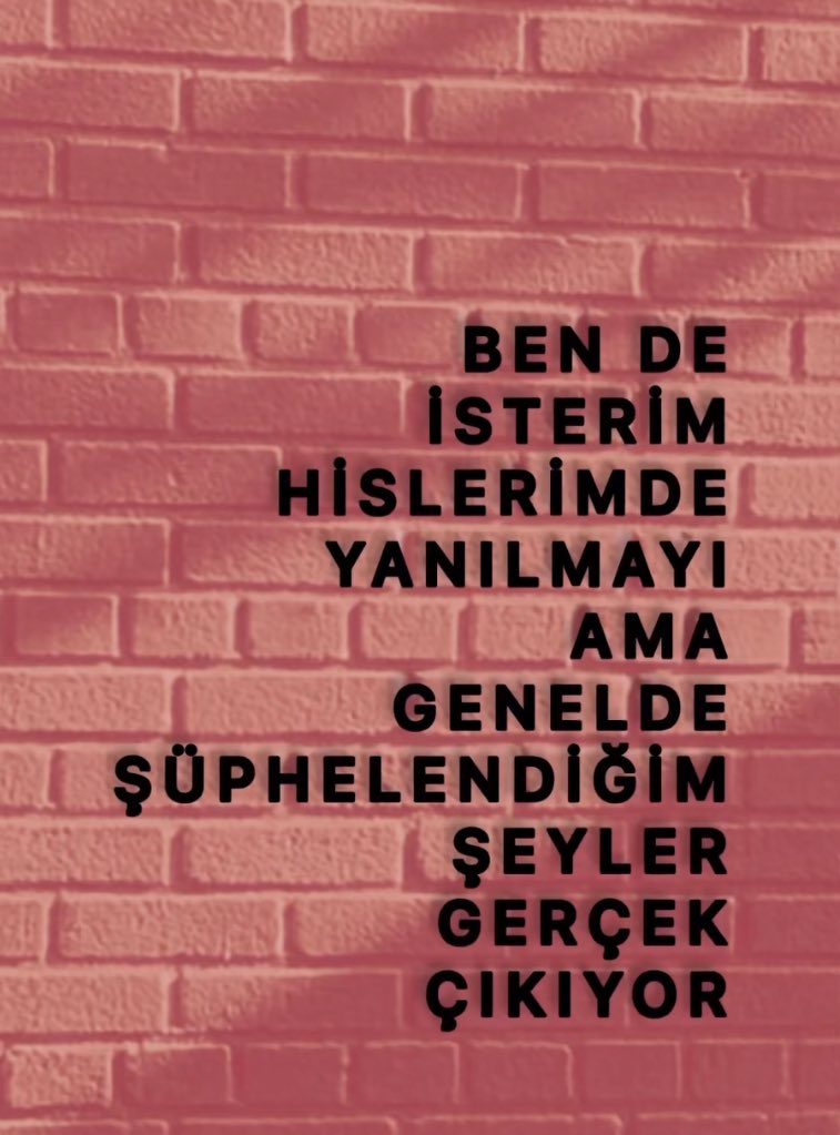 Seher_Seyit's tweet photo. https://t.co/wuie8ODXzS