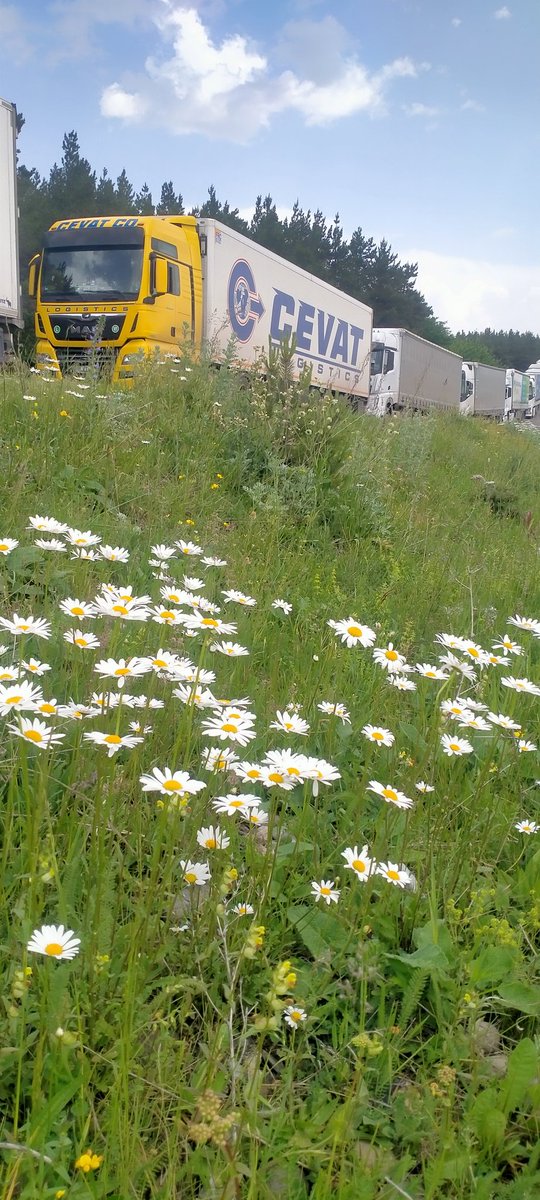 Kurban Bayramınız mübarek olsun inşallah