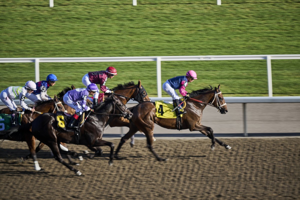 ECAO organized a Day at the Races, held at <a href="/WoodbineTB/">Woodbine Racetrack</a>. We extend our heartfelt appreciation to our esteemed partners whose invaluable support has played a pivotal role in the success of ECAO.