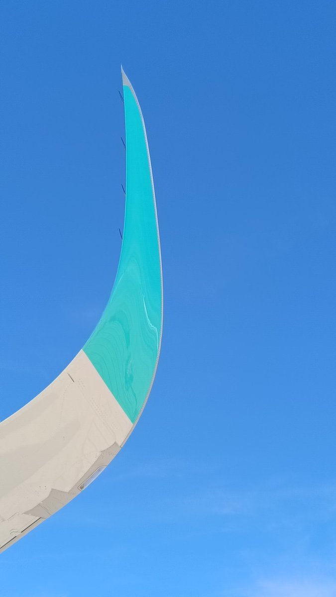 LM__'s tweet image. #Winglets para mi amigo @VadeAviones 😉