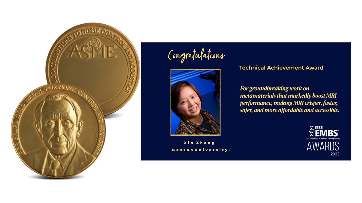 I am grateful to the ASME for the Per Bruel Gold Medal and the IEEE EMBS for the Technical Achievement Award. I am indebted to my students and collaborators, who have and continue to inspire me, pushing me to a higher level and motivating me to do better.