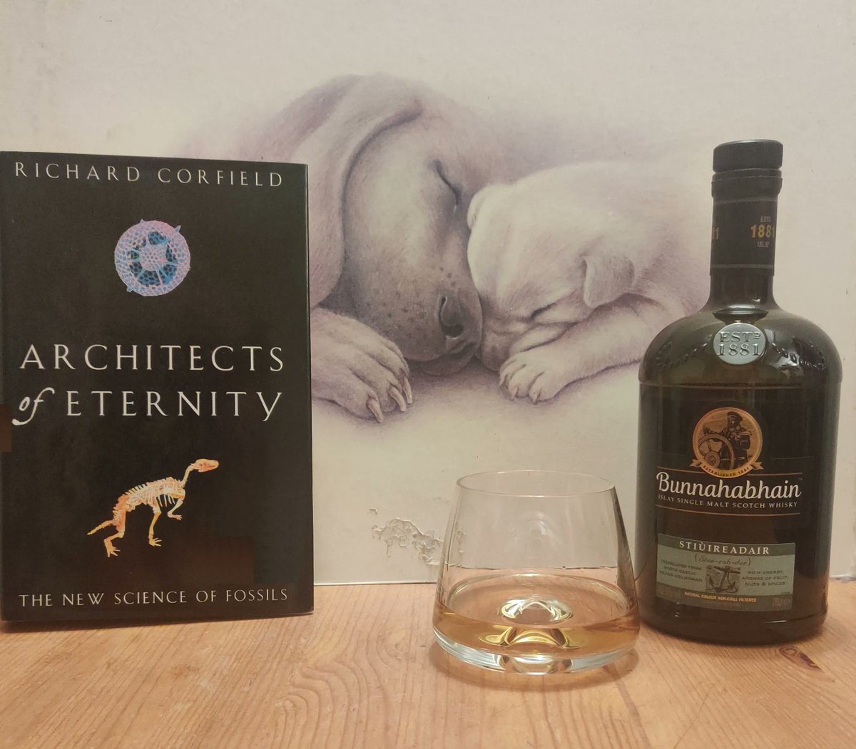 kevindfallen's tweet image. Finished Architects of Eternity by @RichardCorfiel1, a challenging read that expertly weaves the people and science of fossils, with @Bunnahabhain Stiùireadair, a sweet mix of caramel and almonds.
#frommybookshelf #frommywhiskyshelf