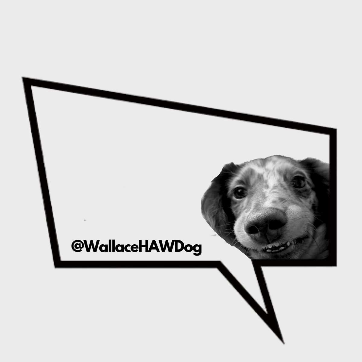 Wallace tweet media