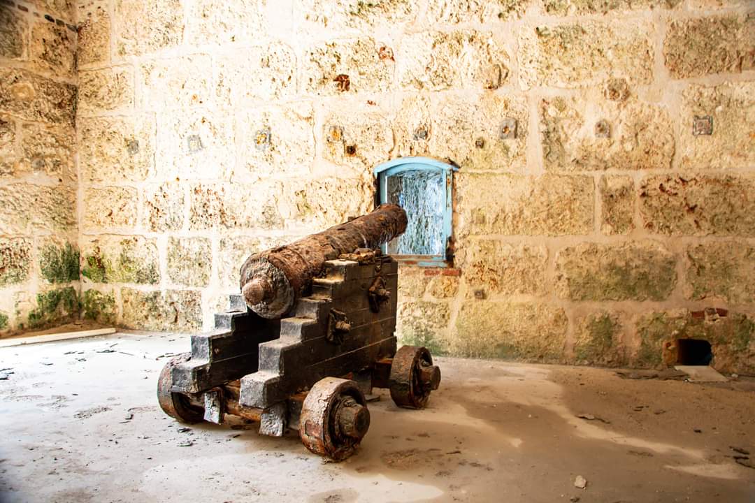 MorroCabana's tweet photo. Verano en la historia 🏛️🌞

¿Qué mejor lugar que un museo para aprender sobre el pasado?/
¿What better place than a museum to learn about the past?
#CastilloDeLosTresReyesDelMorro #PatrimonioMundial
@casa_102 
@Clodomira_71 https://t.co/rxCfBlKxw9