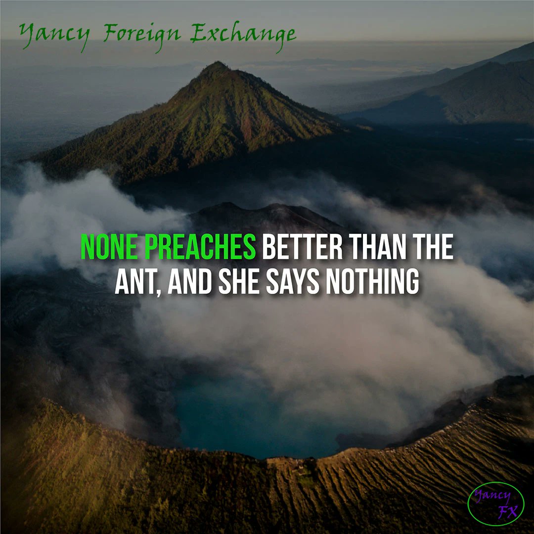 None preaches better than the ant, and she says nothing.

#YancyFX #YFX #forex #fx #foreignexchange #forexeducation #forexnews #forexanalysis #success #motivation