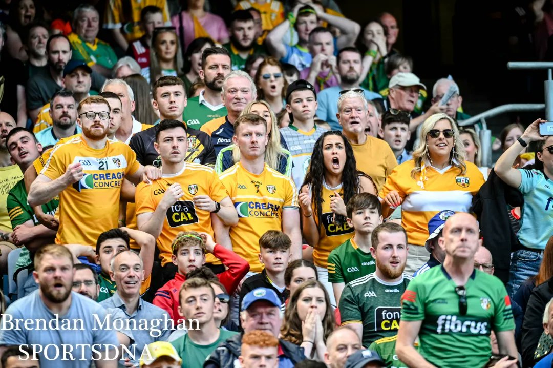 Sports DNA - Brendan Monaghan tweet media