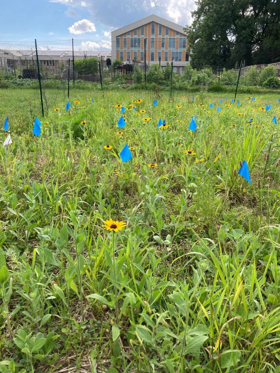 conta.cc/Ft.totten
conta.cc/3JwMy3a