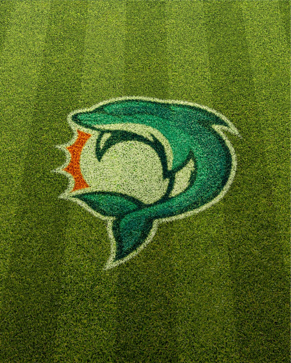 Emily Morgan Creates tweet media