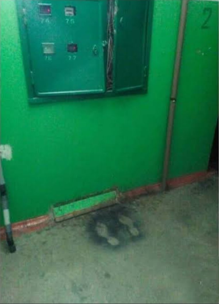 §ðµl~ÄÐåñ 💤 tweet media