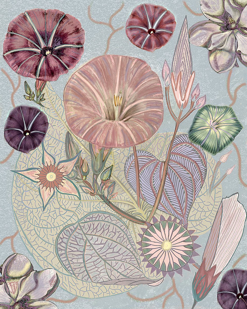 botanicalartgio's tweet photo. New wildflower artwork up on Etsy! https://t.co/5BLaalYVWW #FlowersOfTwitter #FloralSymphony #artwork #artontwitter #etsyfinds #pastellove #collageart #wildflowers #wildflowerhour #floralart #flowerart #pastel #paintingoftheday #paintitpurple #posterdesign #artprint https://t.co/6wyjilXskM