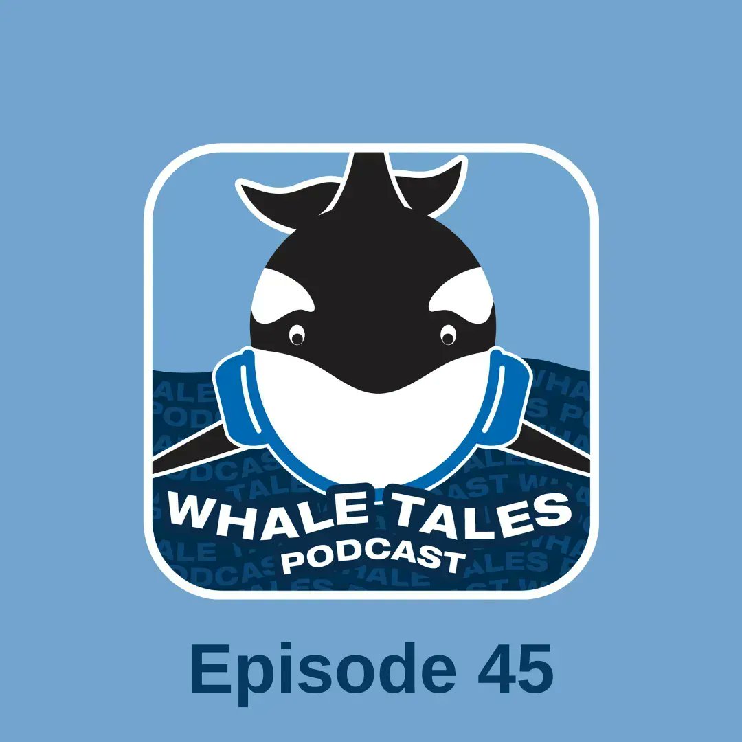 In Episode 45 we talked to Judith Scott about Icelandic Orcas - it wasn't during #OrcaActionMonth but you can still enjoy it this month! 🎧🖤🤍🖤 
buff.ly/3OIVp3a 
#WhaleTales #OrcaAwarenessMonth