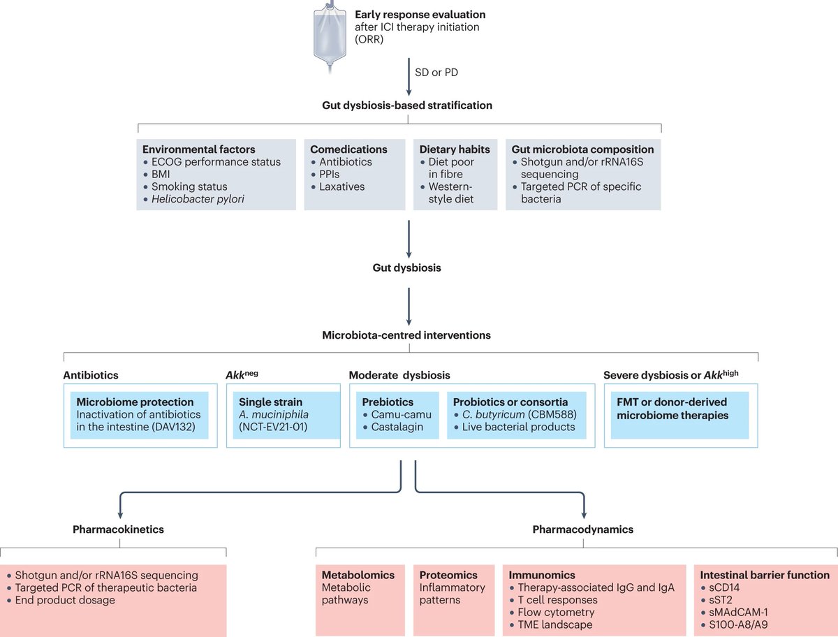 NatRevClinOncol's tweet photo. In a Review now published online, Andrew Maltez Thomas, Marine Fidelle, Bertrand Routy, Guido Kroemer, Jennifer A. Wargo, Nicola Segata &amp; Laurence Zitvogel discuss Gut OncoMicrobiome Signatures and their value as diagnostic and predictive biomarkers:  https://t.co/J3X0AYZAC5 https://t.co/lGSV6QNB84