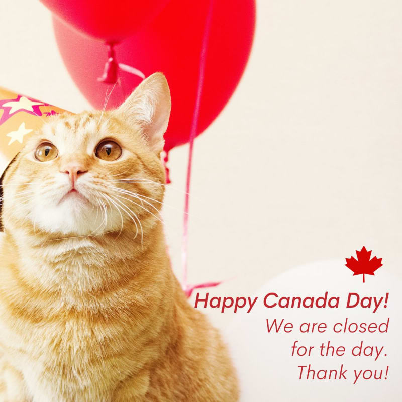 This is a reminder that we will be closed on Canada Day. We will be returning to regular business hours on Monday June 3rd.​
For emergencies, please contact Hamilton Region Veterinary Clinic  905-529-1004. ​
We hope everyone has a happy and safe weekend.
#HappyCanadaDay