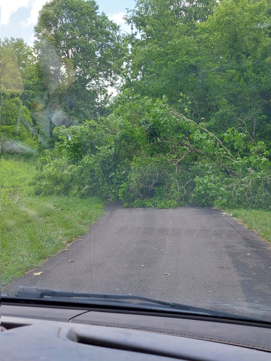 AspiringZEDS's tweet photo. @ryanhallyall @NWSLouisville Lyons Chaple Rd, Meshack Creek, Browns Road, Tompkinsville Ky. It got rough. Haven't taken every picture of trees down while I'm on my mail route. https://t.co/YKKKzTMOFu