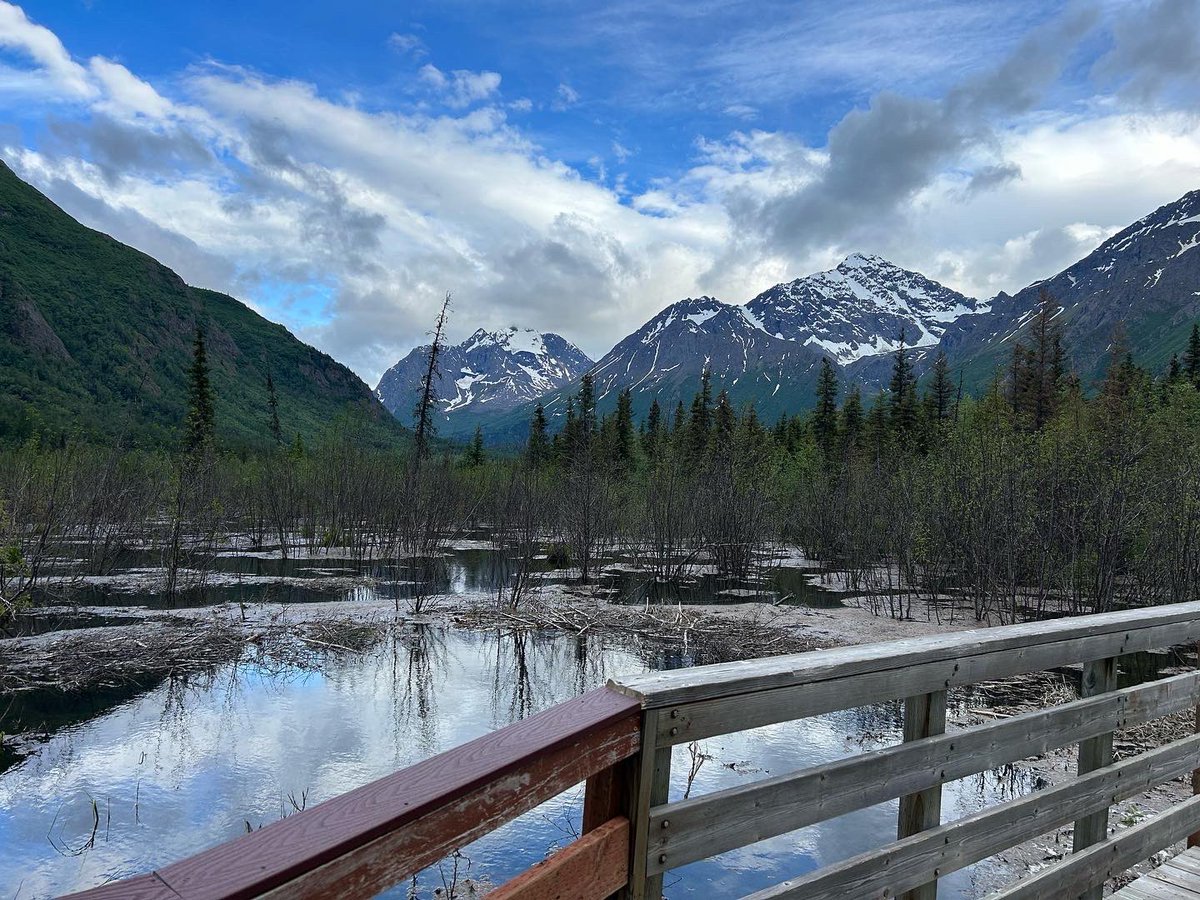 LC Baseball Club tweet media