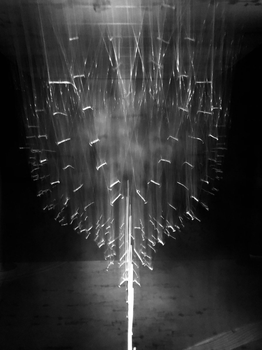 Rowdy Geirsson tweet media