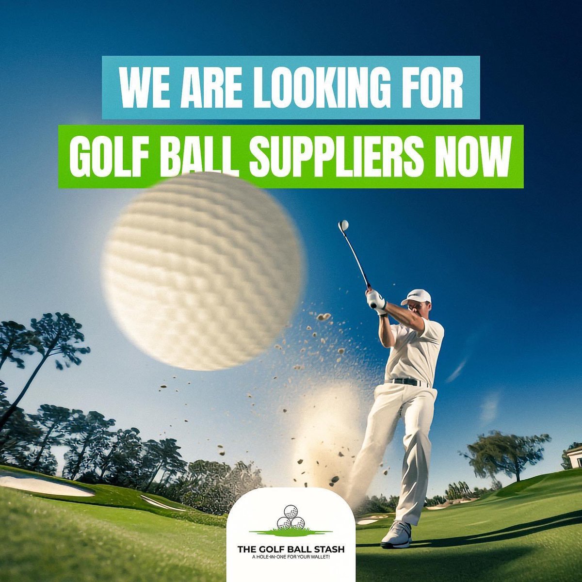 The Golf Ball Stash tweet media