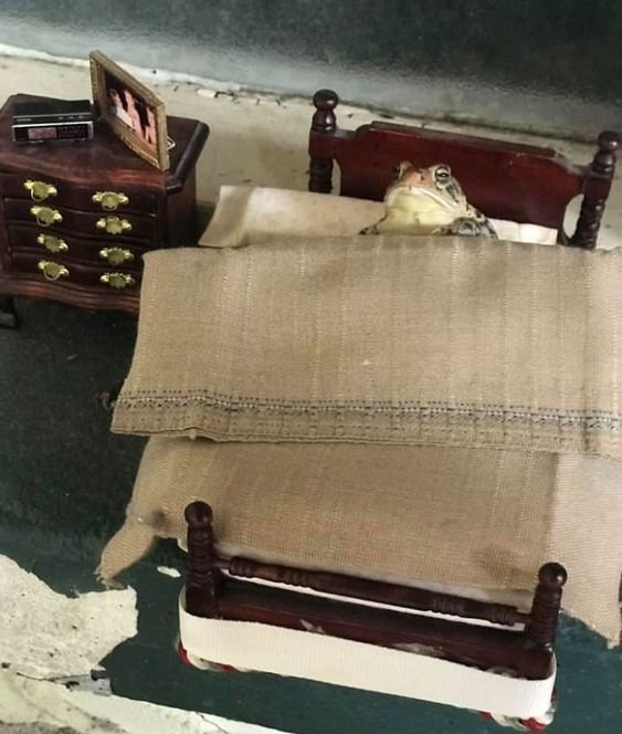 Защитилась на три и поспала вечером, наконец-то могу страдать хуйней и рисовать