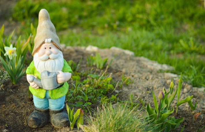 Need a new decoration for your #homegarden? Consider adding one of these gnomes. #gardenhelp  cpix.me/a/172393057