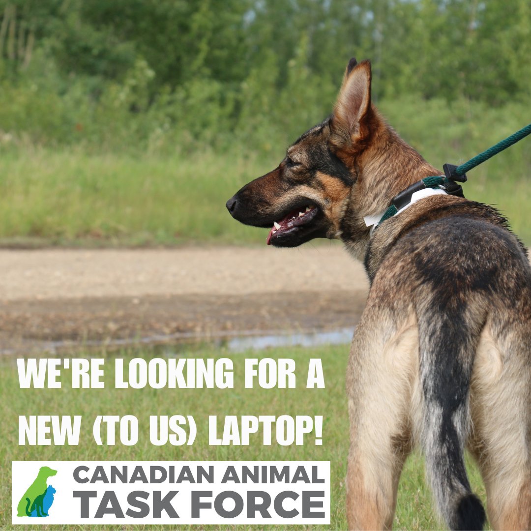 ca_taskforce's tweet photo. We're looking for a good working condition laptop that has the ability to run Microsoft Excel &amp; has working USB ports. If this sounds like something you're willing/able to help us with, please email donations@cataskforce.org. Thank you 💚👣💙🐾 https://t.co/DD7eGaXVUN