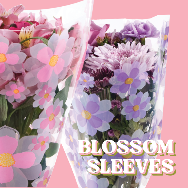 aroocompany's tweet photo. Let art bloom on custom sleeves!

https://t.co/8C6mlpfYBD https://t.co/kzUWwpZzXf