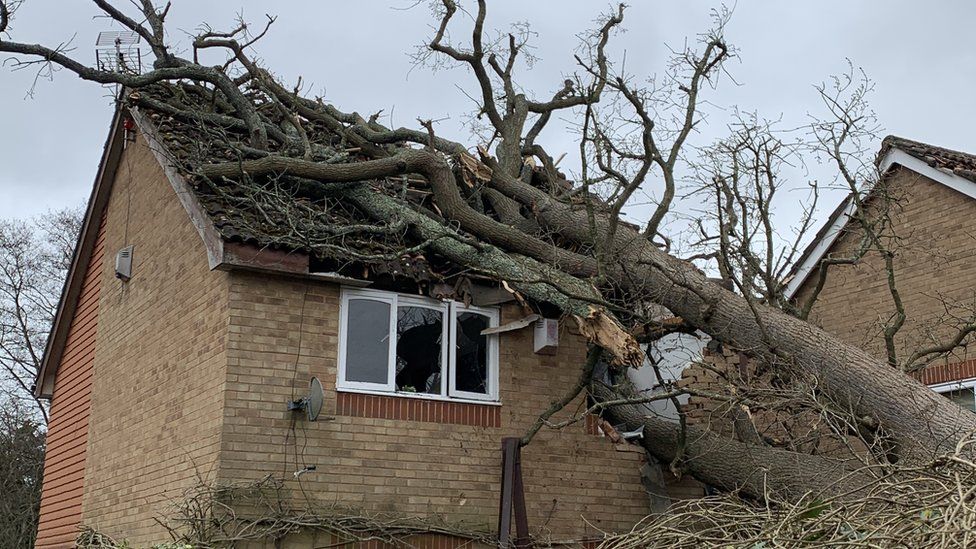 The thunderstorms in the local area yesterday have left most residents in the area with wind and hail damage. Chances are your home has been damaged too. Call or text to schedule your free property damage inspection today! 812-951-9331 or 317-771-0229 #stormdamage