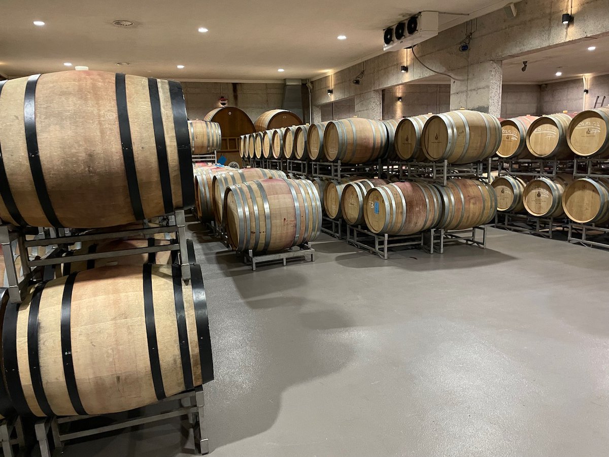 Heitlinger Genusswelten, nicht nur für Golfliebhaber eine kleines Paradies
Die Weinprobe in den Heidlinger Weinbergen ist mehr als nur das Verkosten von exquisiten Weinen. Es ist eine Reise durch die Geschichte und die Leidenschaft der Familie.

icjambassador.com/?p=21402