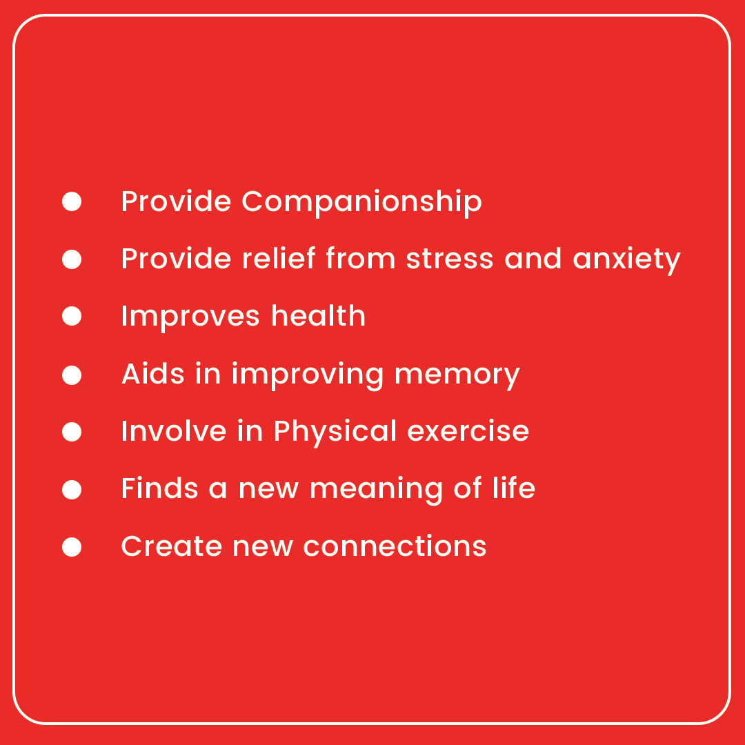 For senior citizens, the bond with an Emotional Support Animal (ESA) transcends mere companionship, offering a multitude of reasons to embrace this incredible partnership. 
#ESAForSeniors #SeniorCitizensAndESAs #CompanionshipMatters #EmotionalSupportForSeniors #UnconditionalLove