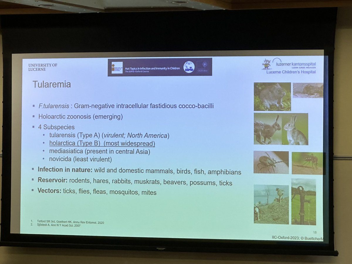 Magnificent first day at #iicoxford 20th anniversary edition

<a href="/iicoxford/">IIC</a> <a href="/ESPIDsociety/">ESPIDSociety</a> #oxiic #ESPID

Ben Marais 
Annemarie van Rossum
Michael Büttcher 
Ellie Barnes 
Hanna Nohynek
Ron Dagan 
Kathy Edwards 
Jane Burns