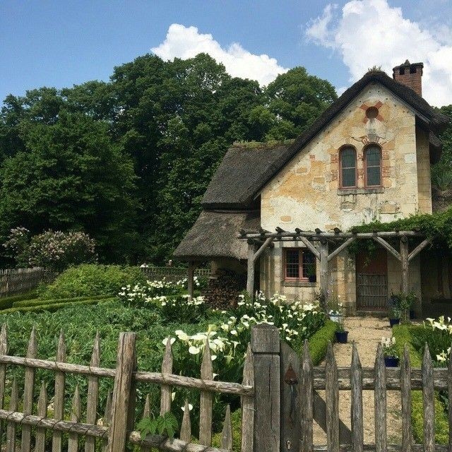 softdeIicacy's tweet photo. countryside life. https://t.co/5NViio5XPa