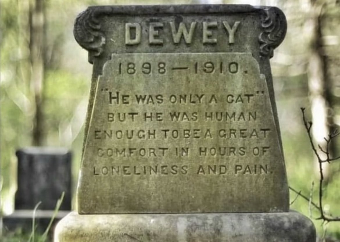 The Dewey family cat, who died in 1910, meant enough to his owner to be honored with a gravestone that stands today, over 113 years later. It reads: 'He was only a cat, but he was human enough to be a great comfort in hours of loneliness and pain.'