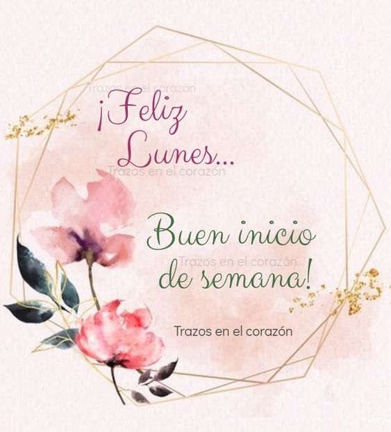 Levanta tu frente ante los demás, solo miran hacia abajo los que temen caer y los que ocultan algo, excelente inicio de semana!!☺️😋