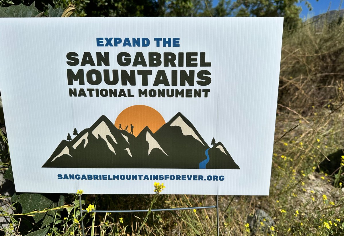 Power in Nature tweet media