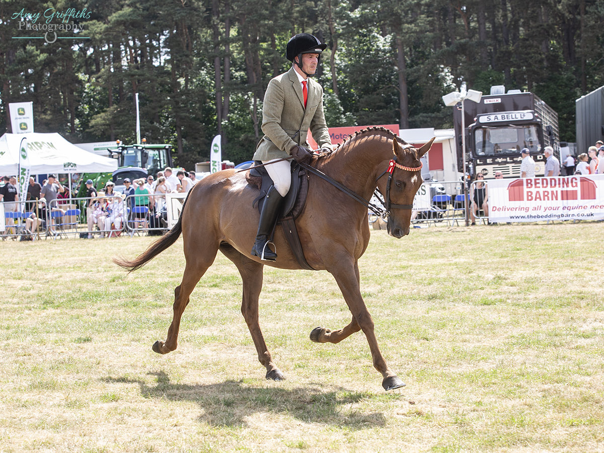 Another good day out with Definitly Red at Malton show 1st and 3rd in his two ⁦<a href="/RoRlatest/">RoR</a>⁩ classes and reserve RoR champion ⁦<a href="/BERacingLtd/">Brian Ellison Racing</a>⁩ ⁦<a href="/AintreeRaces/">Aintree Racecourse</a>⁩ #HorsesForCourses